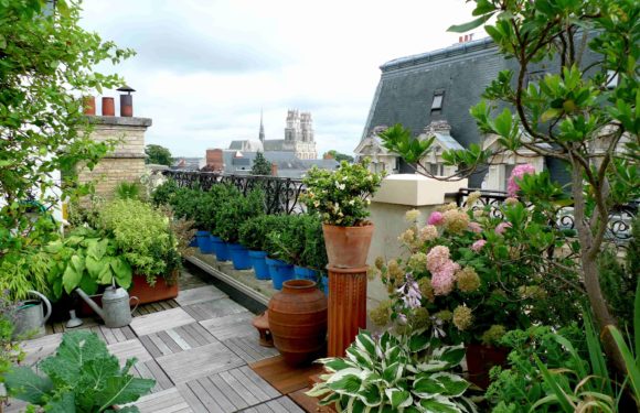 Des astuces de pro pour aménager un jardin