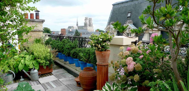 Des astuces de pro pour aménager un jardin
